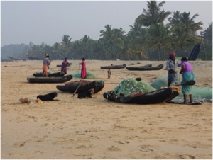 See South India's Alleppey Beach with Best Exotic Tours